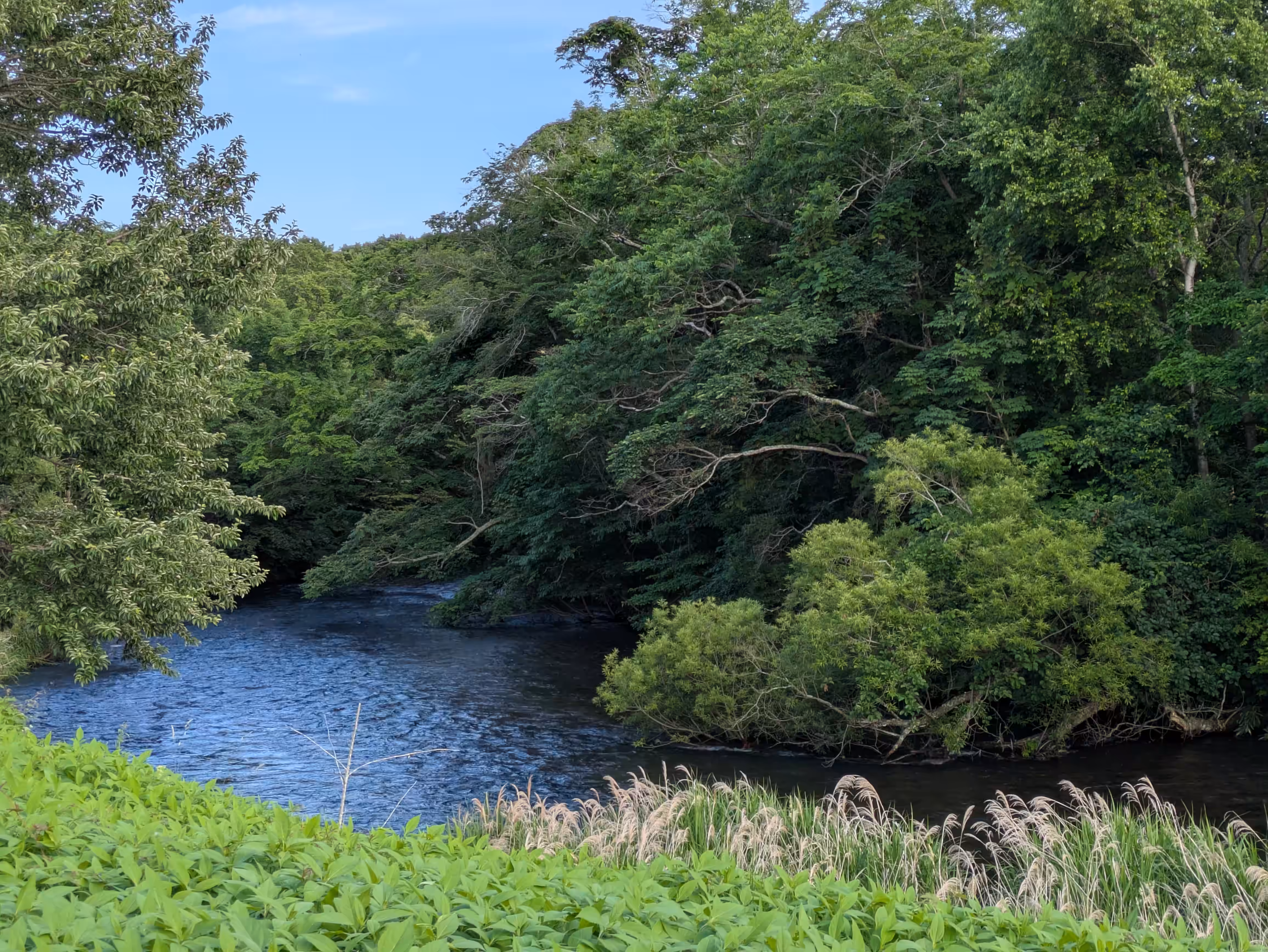 Chitose River (千歳川)