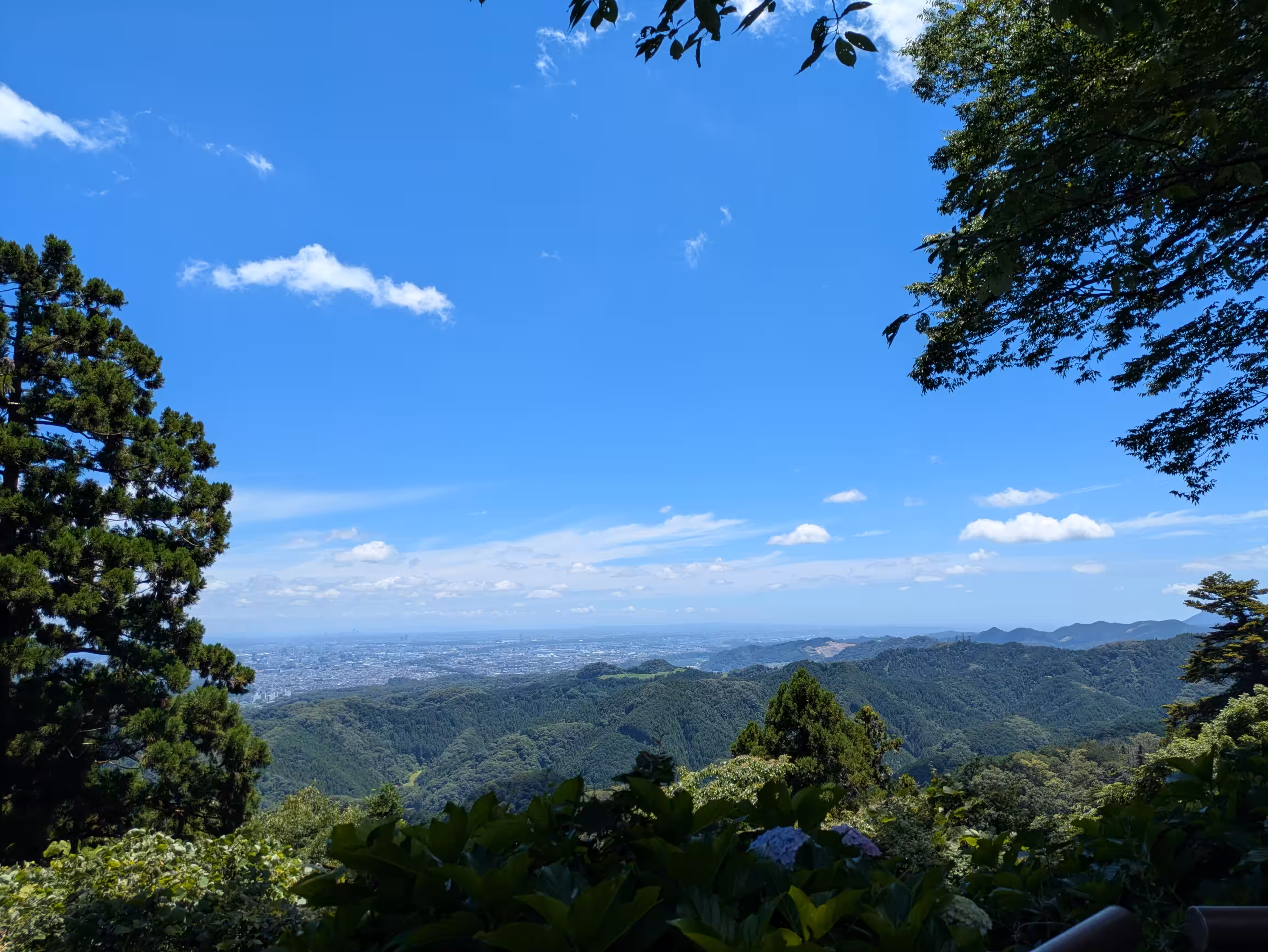 Mount Takao (高尾山)