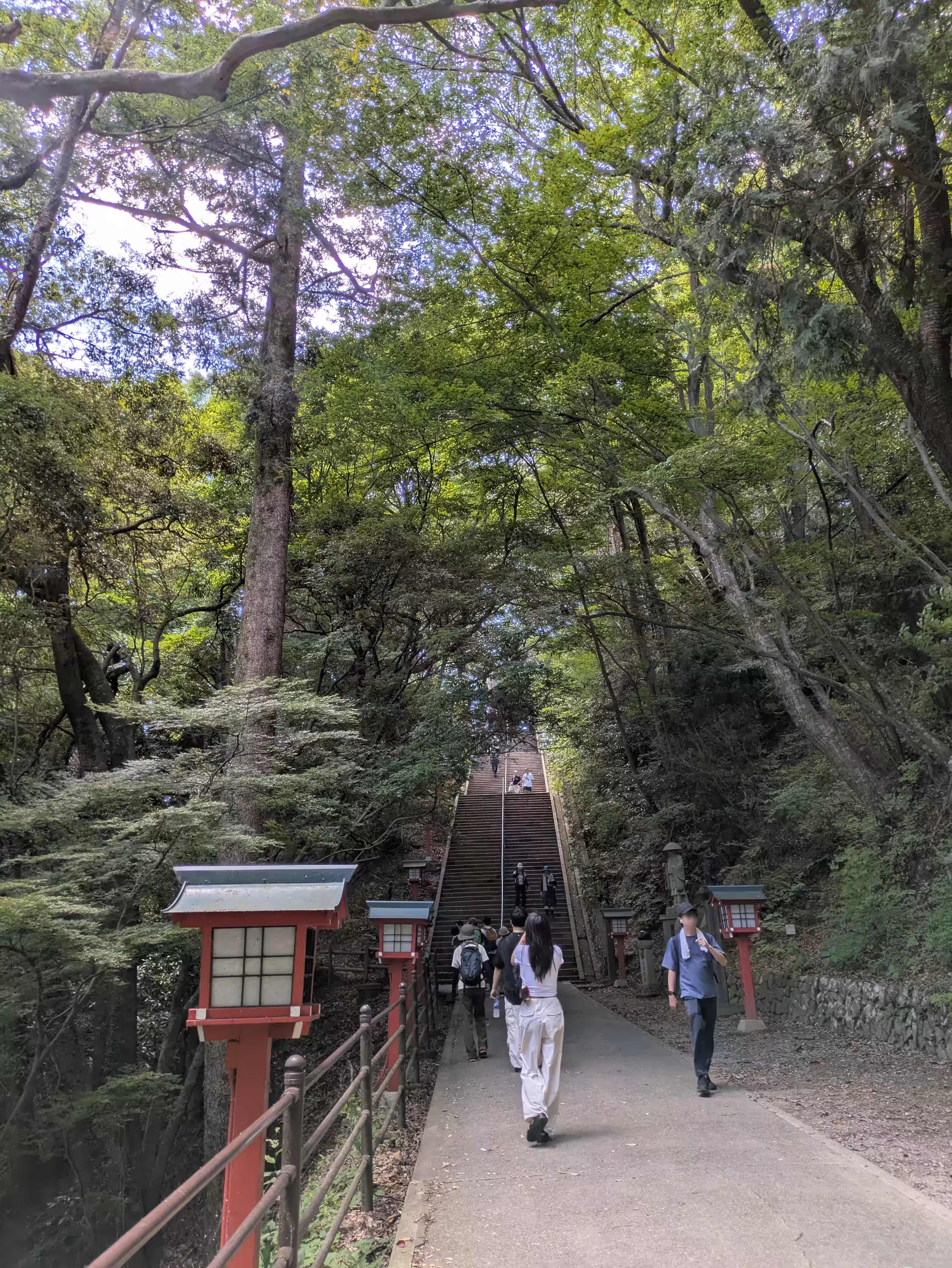 Yakuo-in Temple (薬王院)